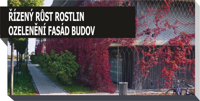 ozelenění fasád budov